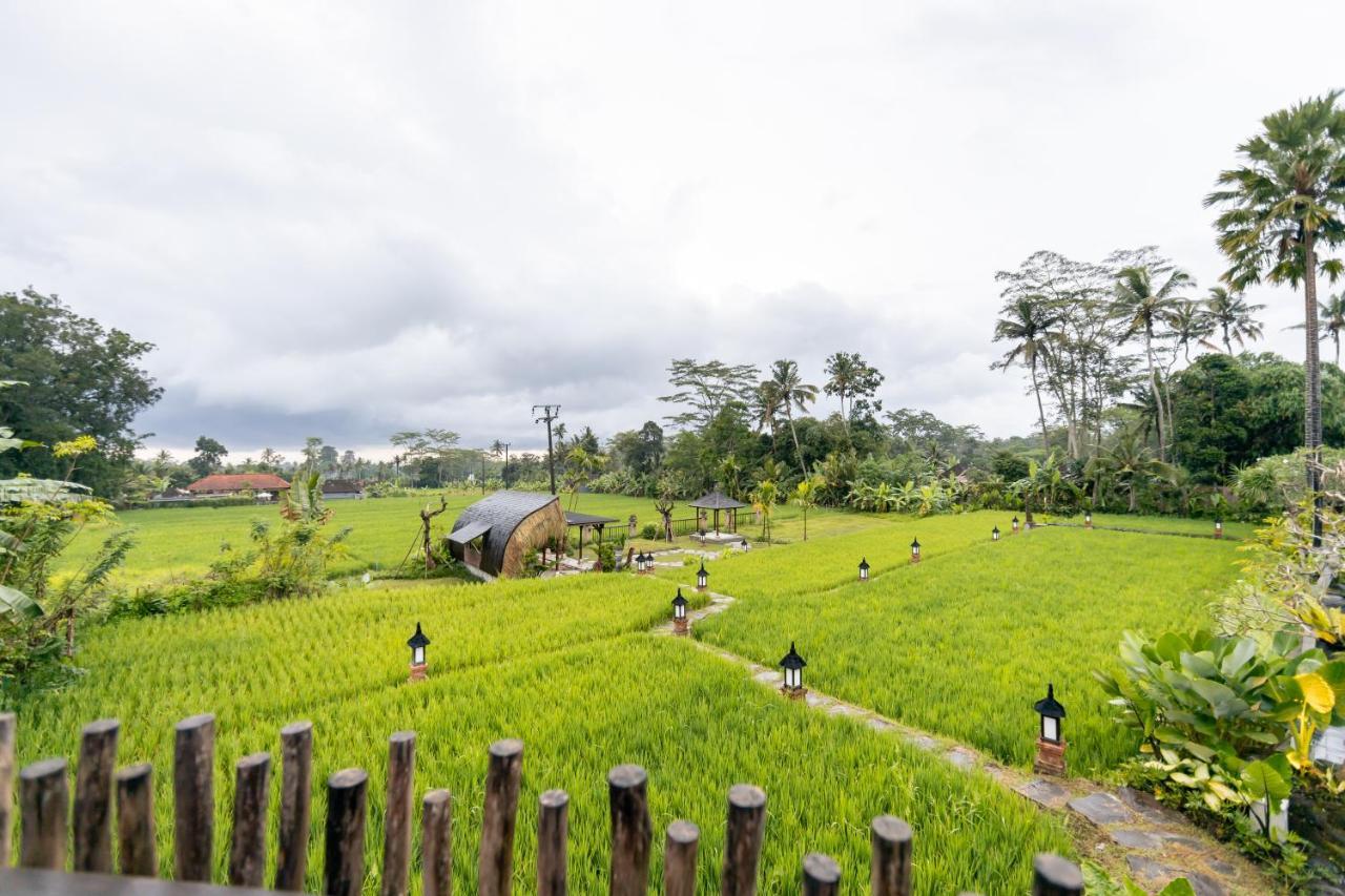 Anumana Village Ubud Ngoại thất bức ảnh