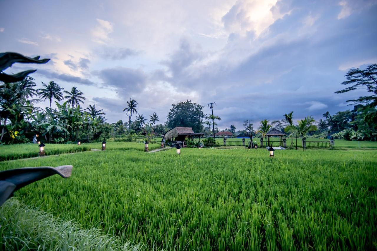 Anumana Village Ubud Ngoại thất bức ảnh