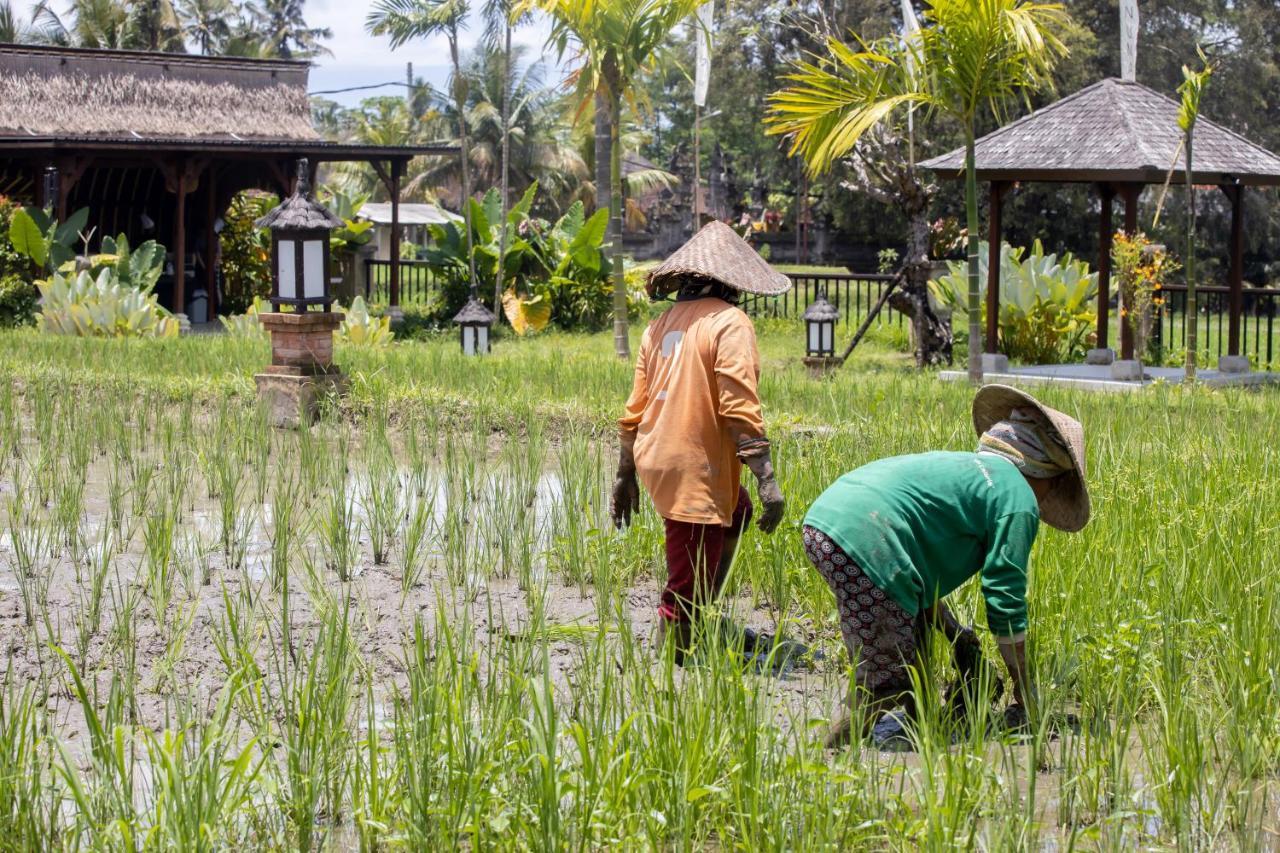 Anumana Village Ubud Ngoại thất bức ảnh
