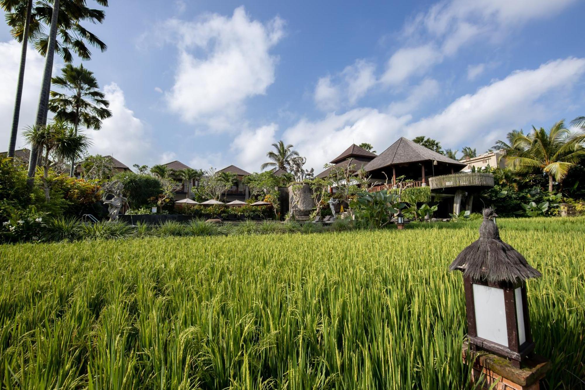 Anumana Village Ubud Ngoại thất bức ảnh